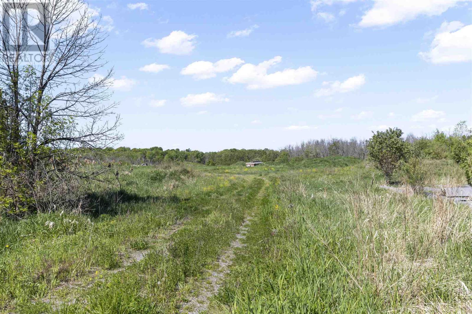 4429 Highway 17 - Photo 4