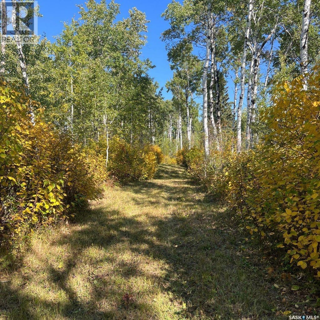 WILDLIFE ACRES, MERVIN RM NO.499, SK S0M 1J0 - Image 2510856478.jpeg?d=l