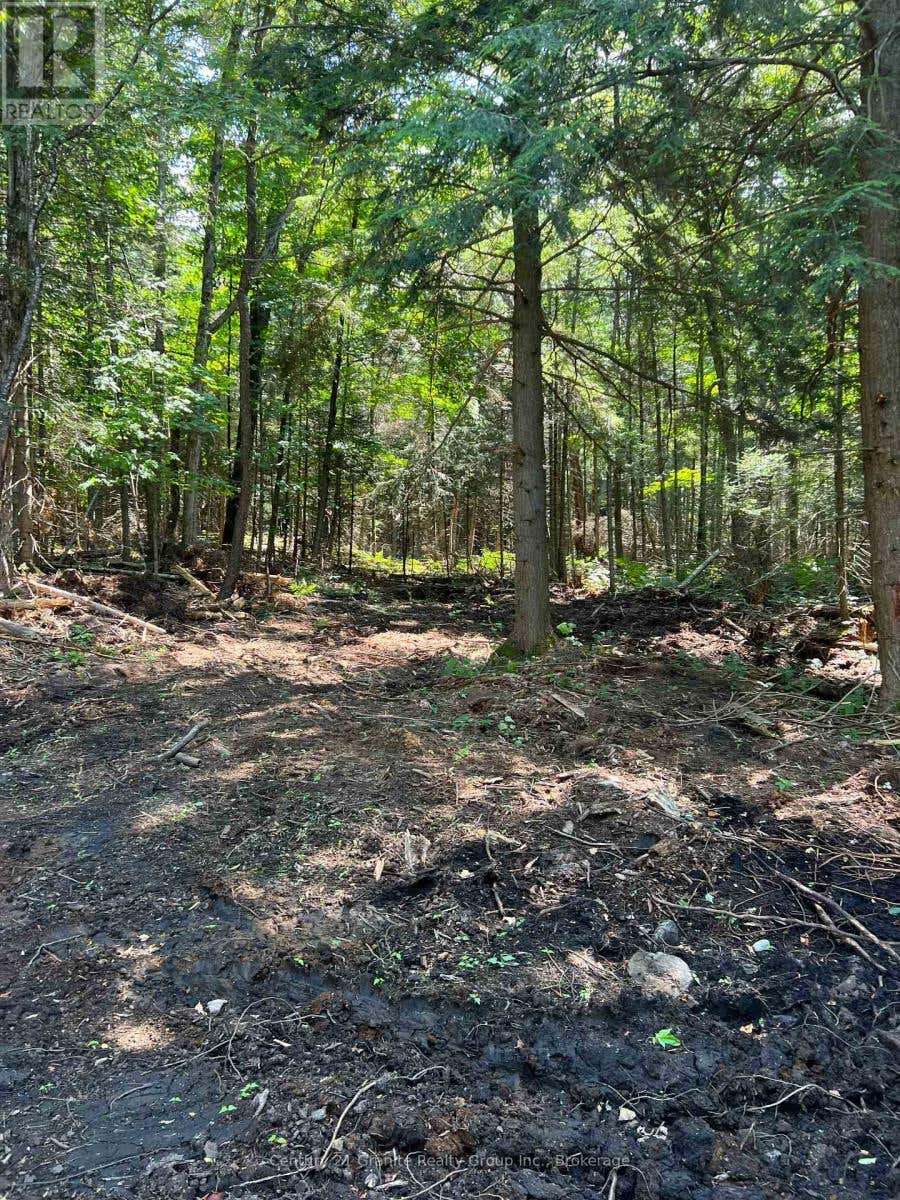 LOT 29 WEST COURT