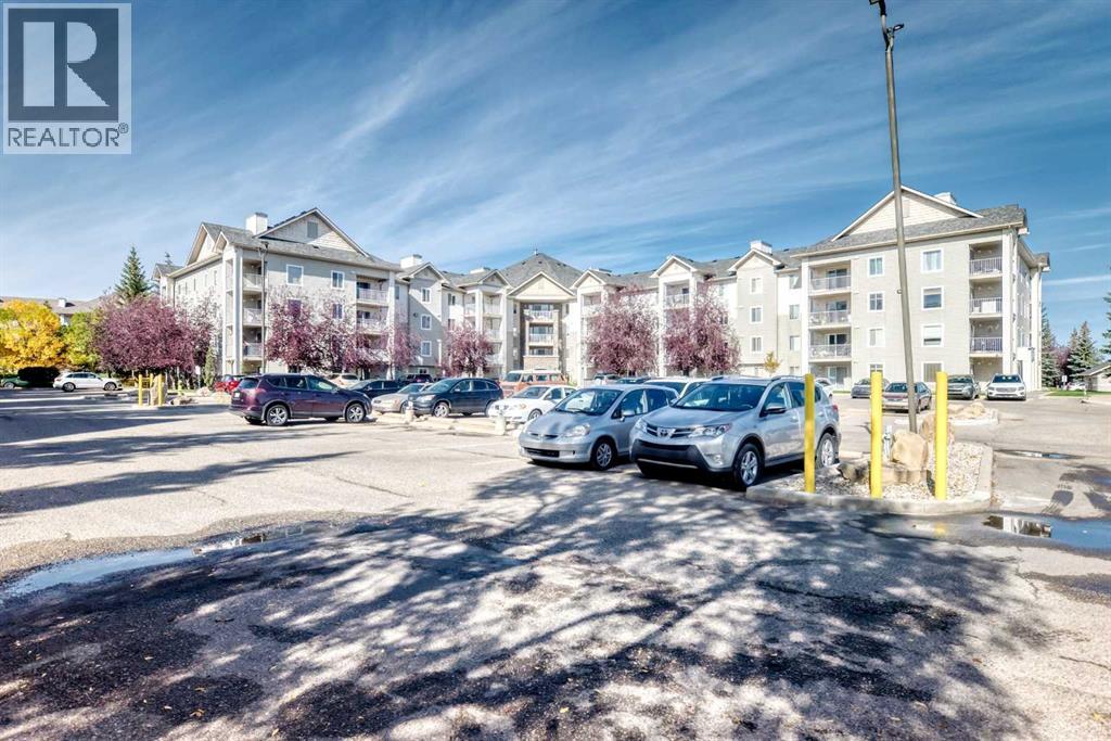 217, 2000 Somervale Court SW