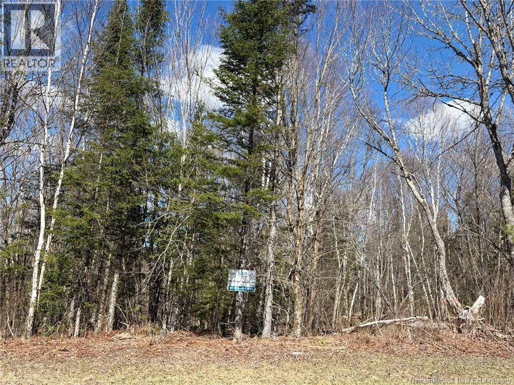 00-2 Reardon Road - Photo 4