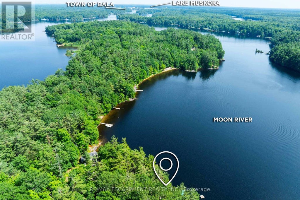 1009 FOGO STREET, MUSKOKA LAKES (MEDORA), ON P0C 1H0 - Image 3791556608.jpeg?d=l