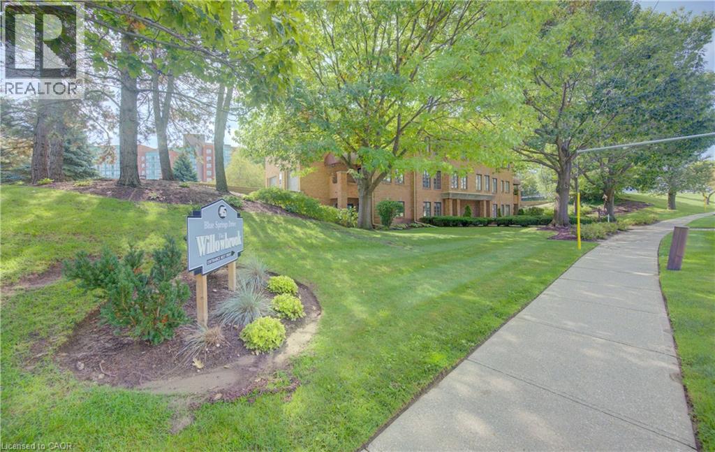 45 BLUE SPRINGS Drive Unit# 31