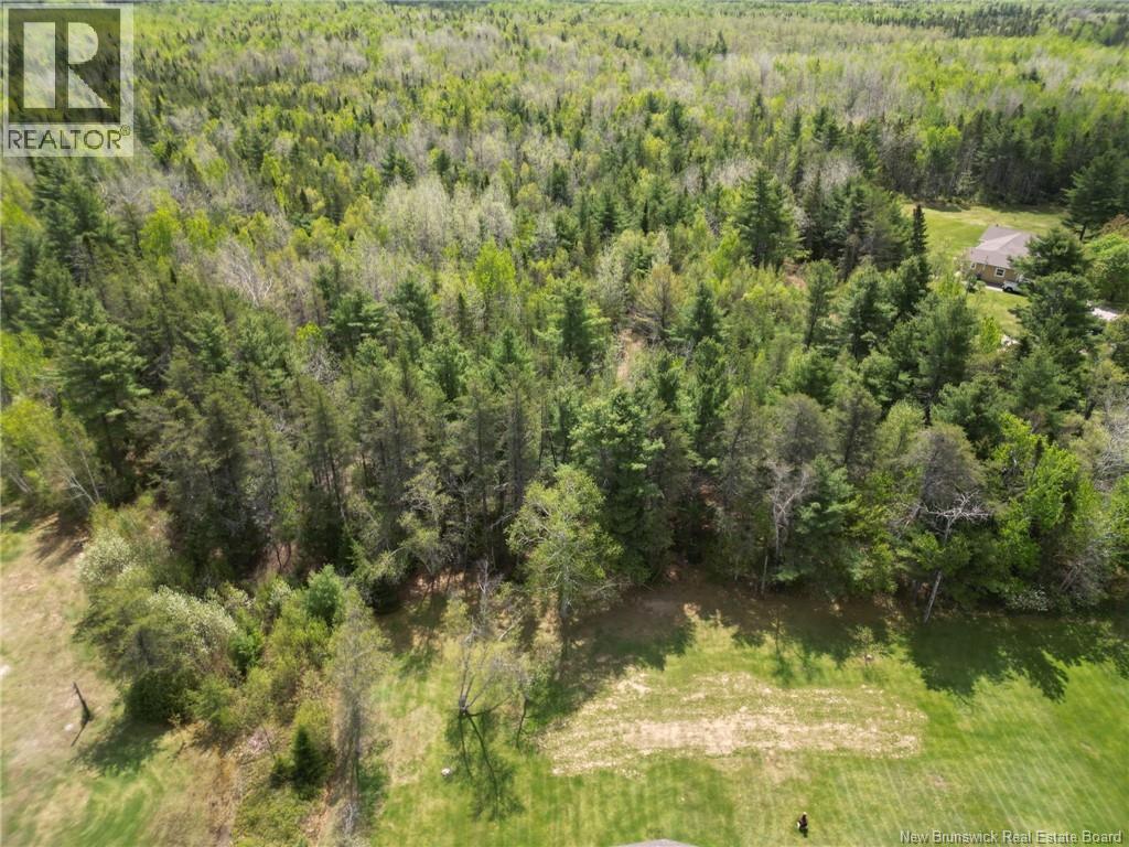Lot 97-1 des Pins - Photo 2