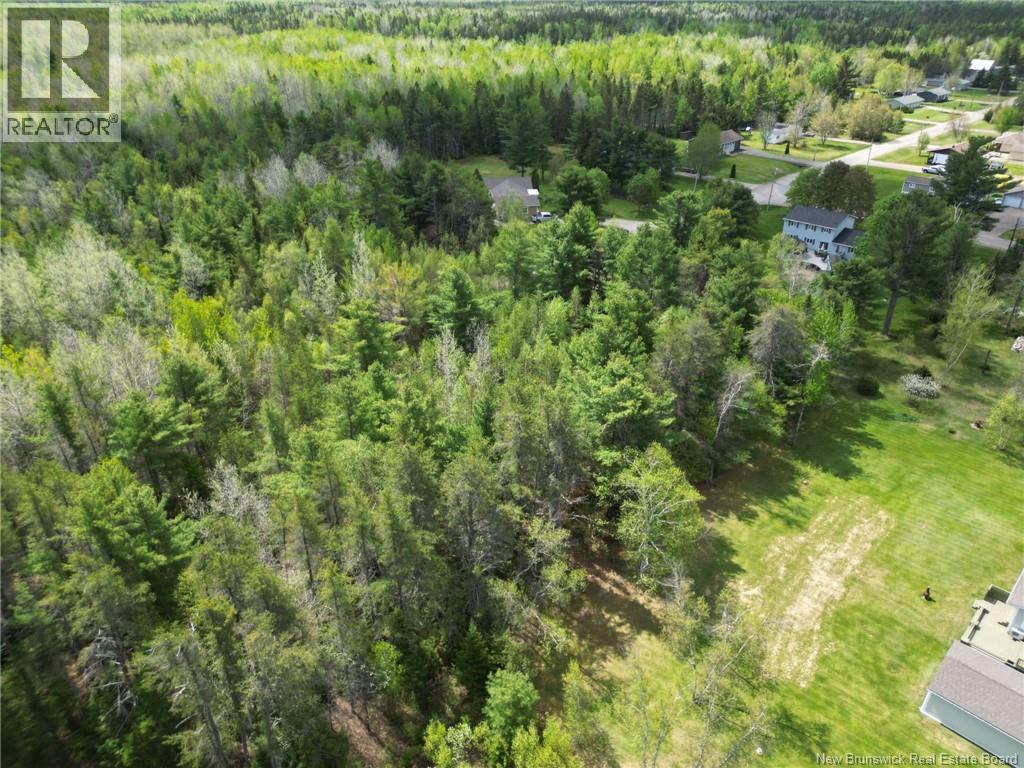 Lot 97-1 des Pins - Photo 3