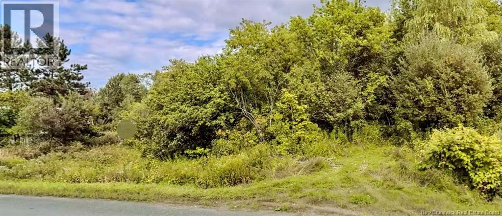 Lot Route 105 - Photo 4
