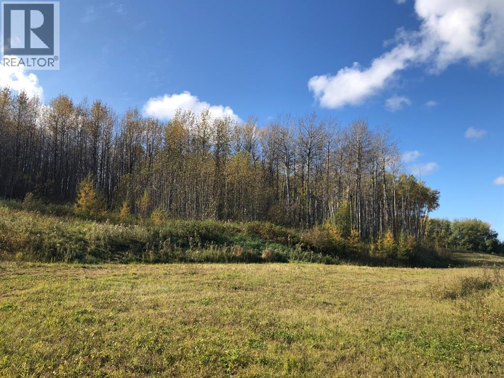 115, 16326 TWP RD 675