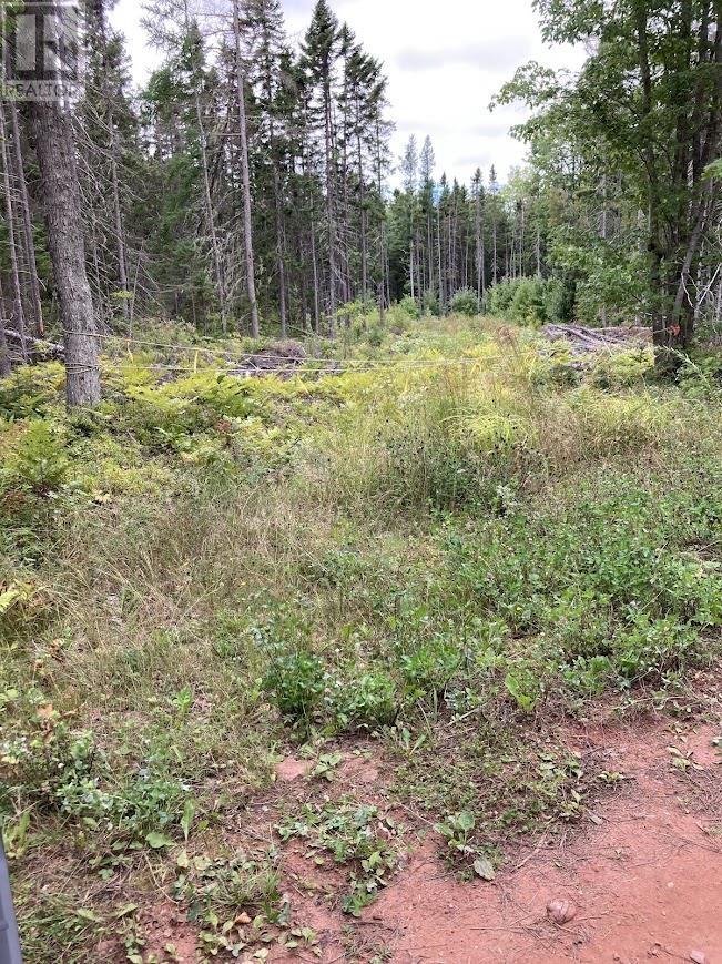 ACREAGE FARLEY Road - Photo 3