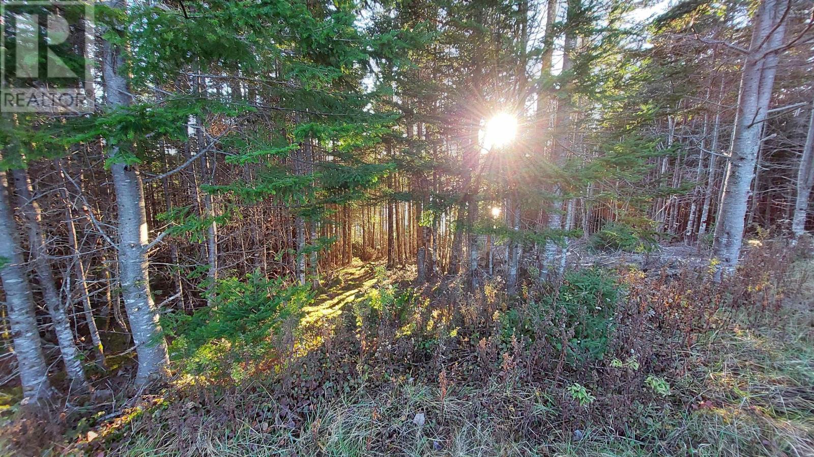 Lot 20 Helmuts Lane