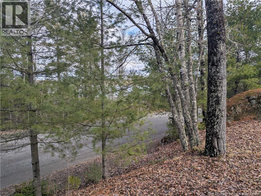 3837 Route 122 - Photo 4