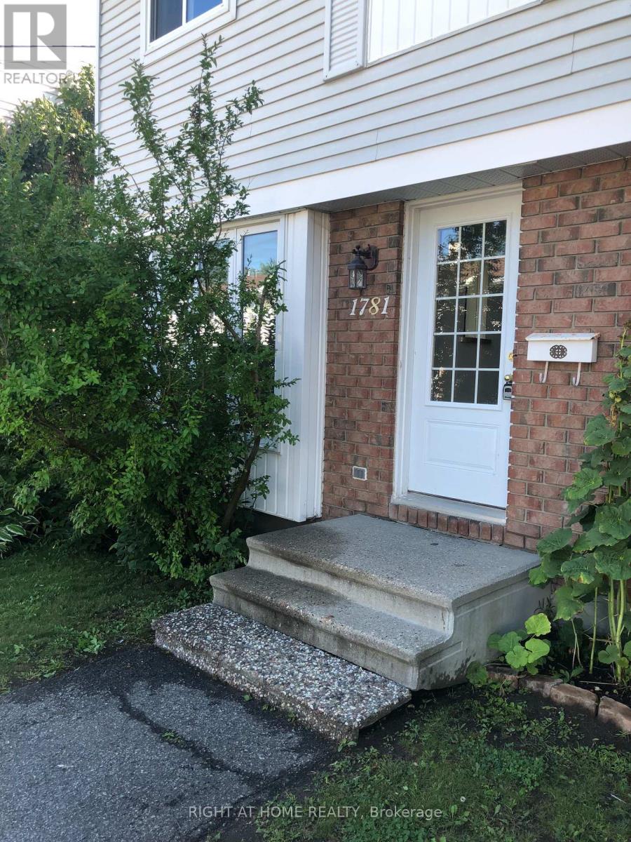 1781 WINTER ROSE LANE