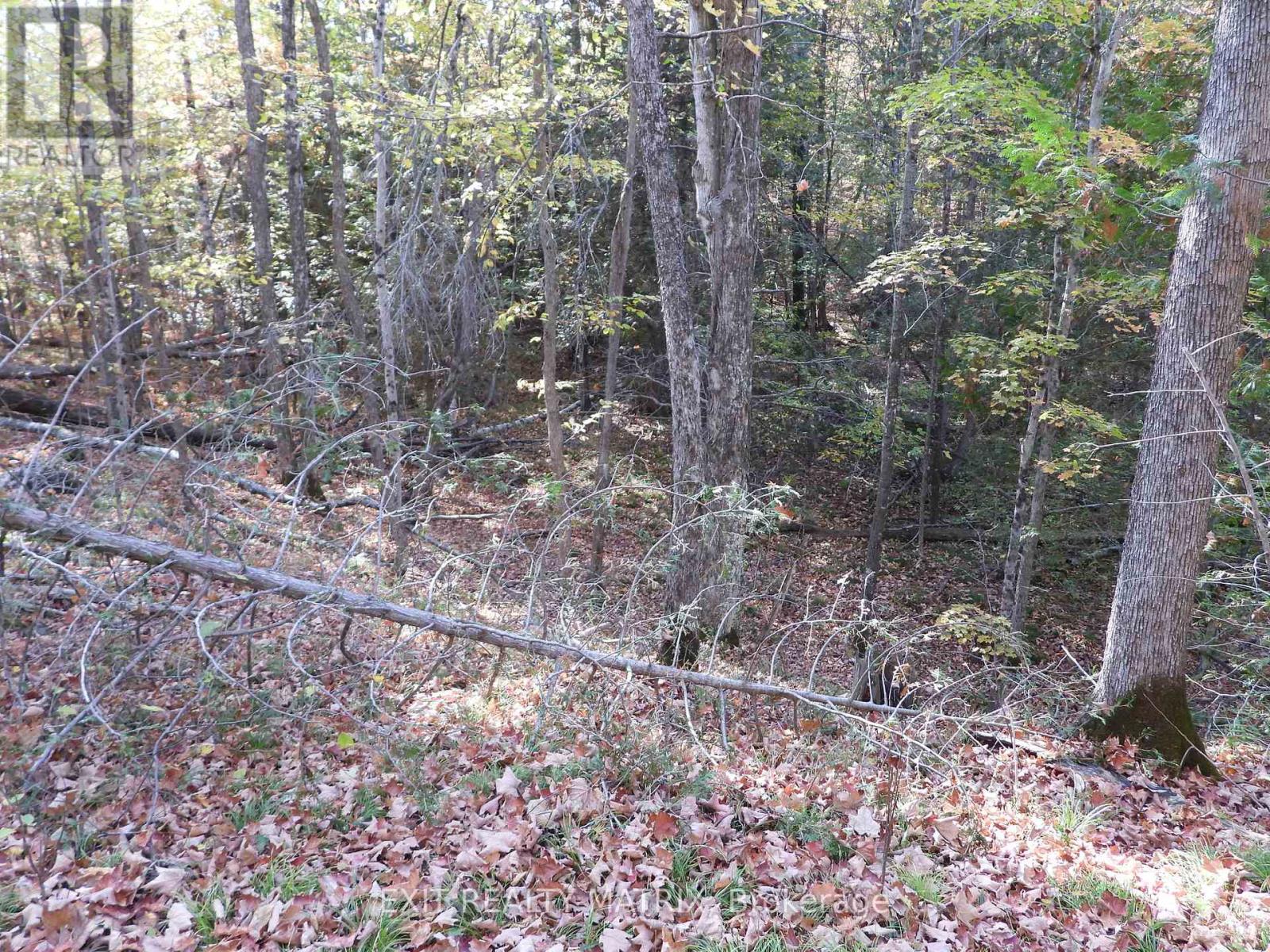 LOT 1 WOODLAND PARK DRIVE - Photo 3