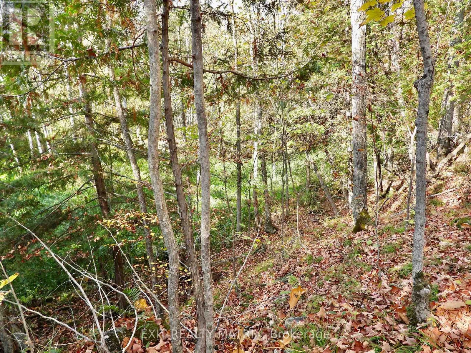 LOT 1 WOODLAND PARK DRIVE - Photo 2