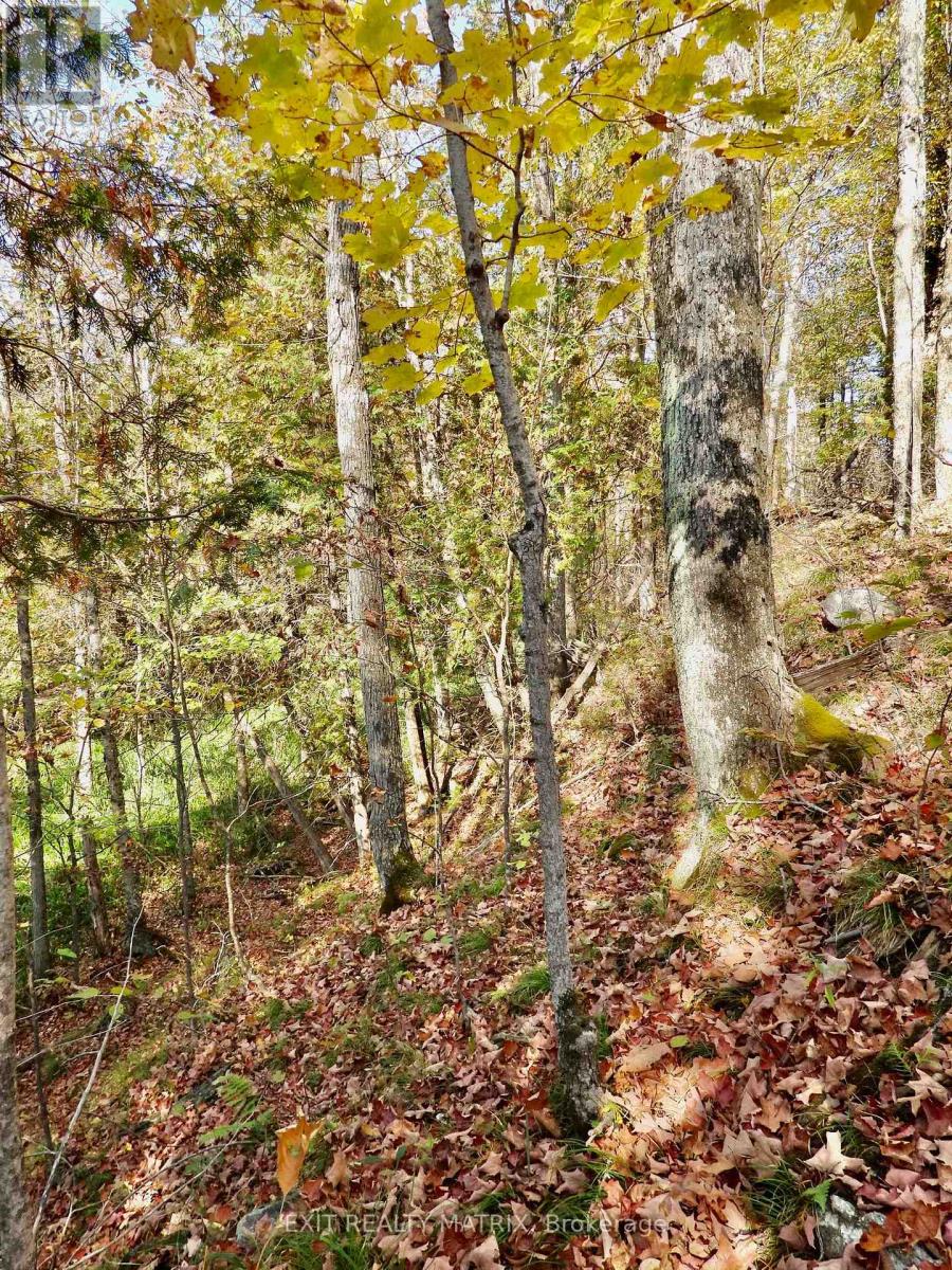 LOT 1 WOODLAND PARK DRIVE - Photo 4
