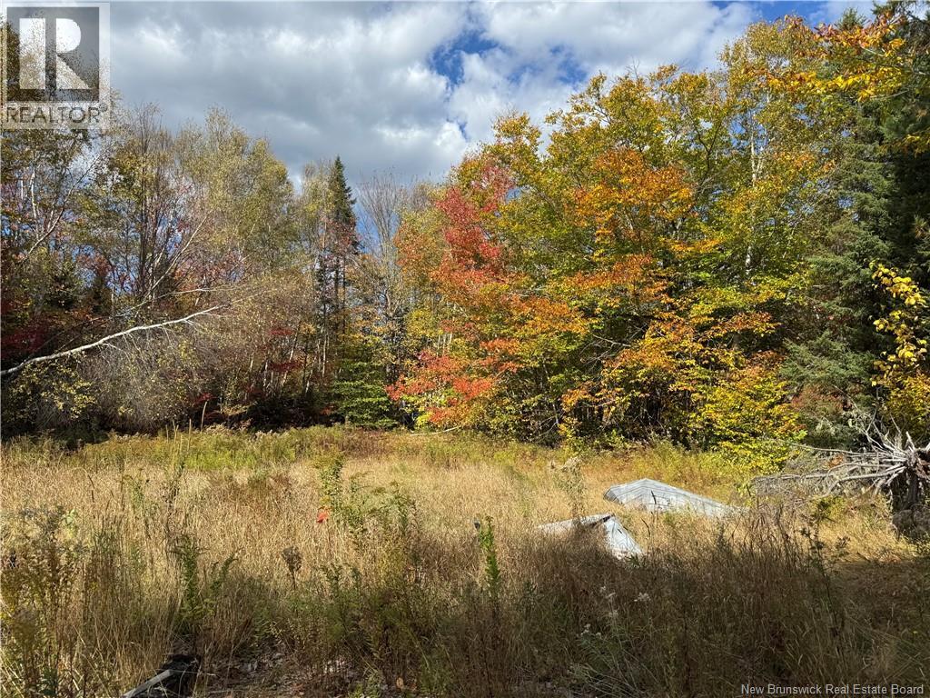 60 Bettsburg Road - Photo 3