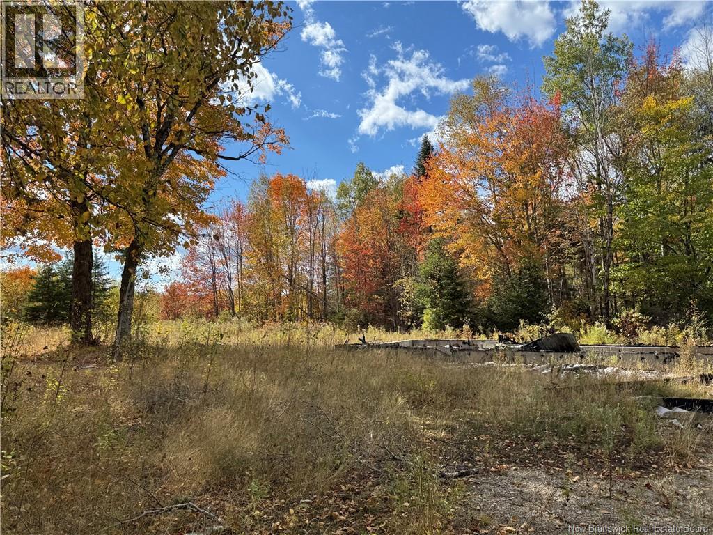 60 Bettsburg Road - Photo 2