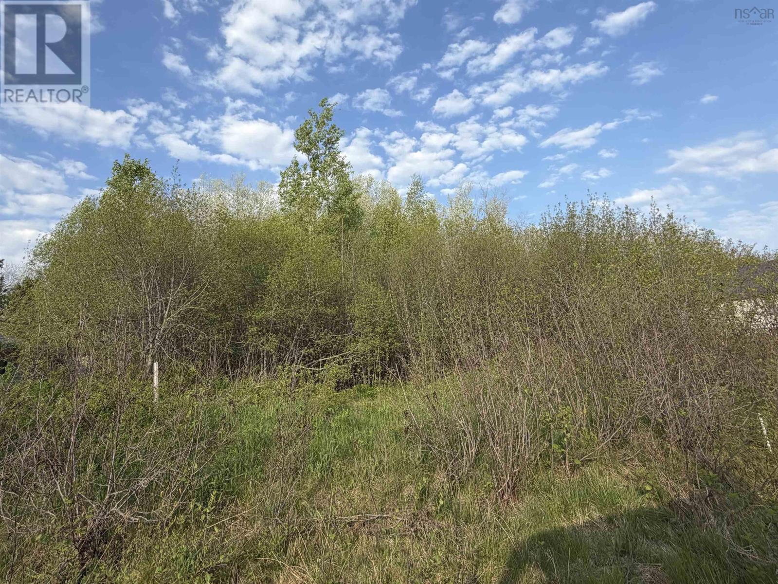 Lot 19 Belair Drive - Photo 4