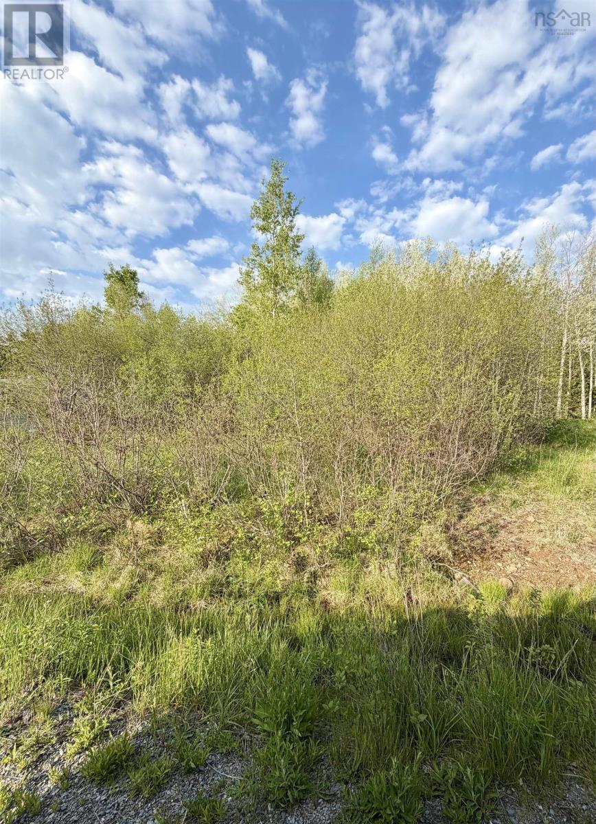 Lot 19 Belair Drive - Photo 3
