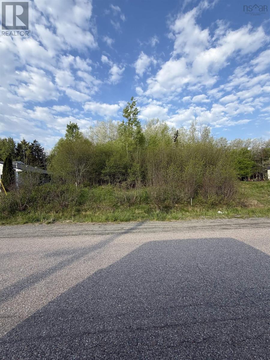 Lot 19 Belair Drive - Photo 2