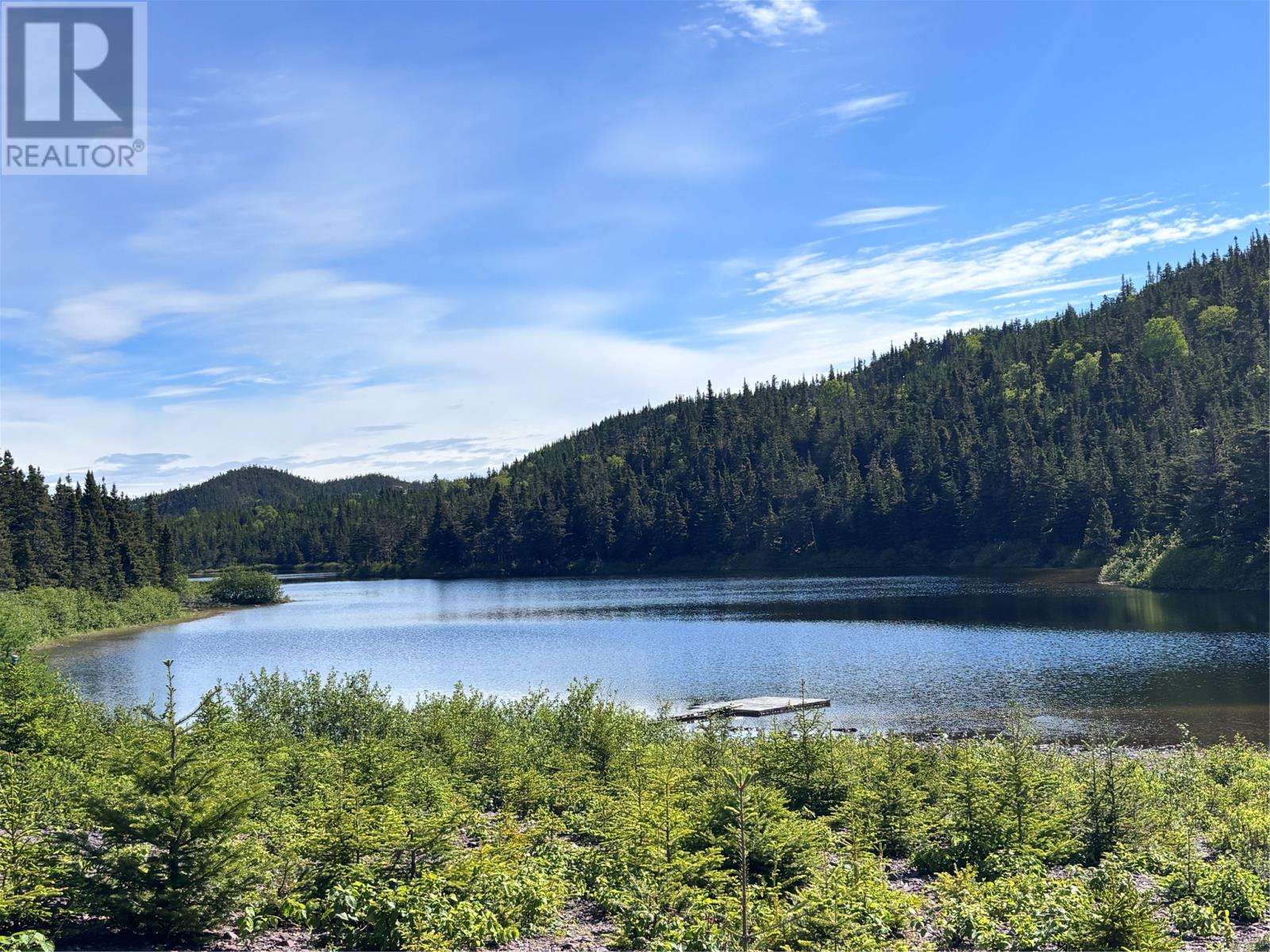 0 Spar Pond - Photo 3