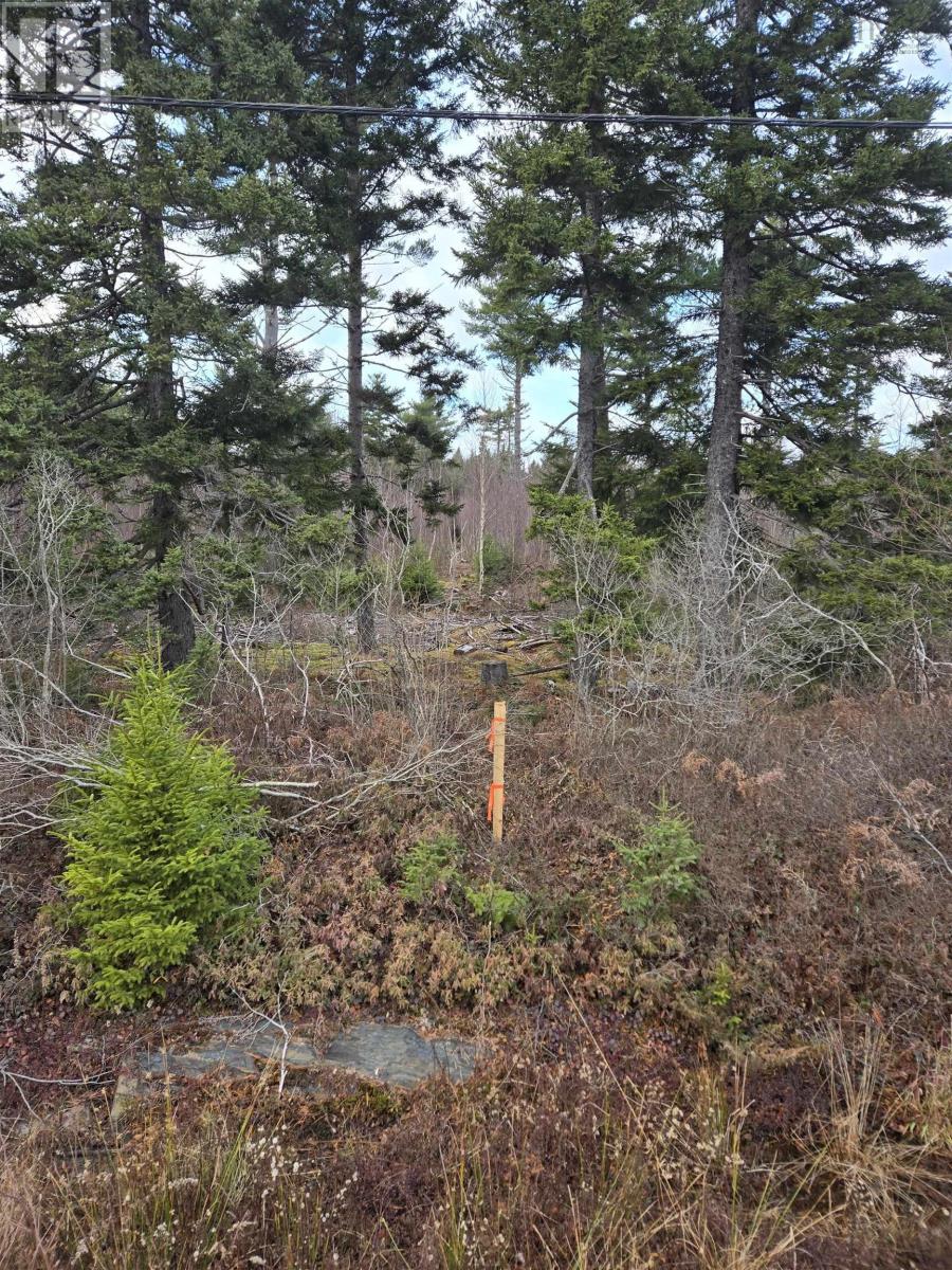 Lot P-2 Mount Pleasant Road - Photo 2
