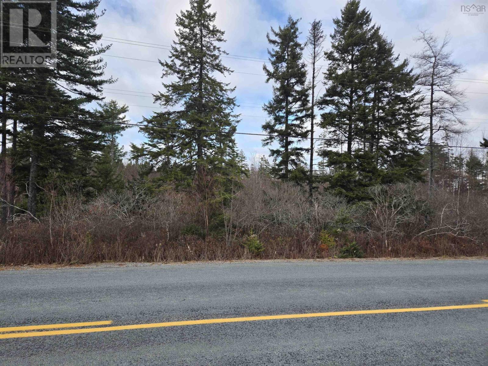 Lot P-2 Mount Pleasant Road - Photo 3
