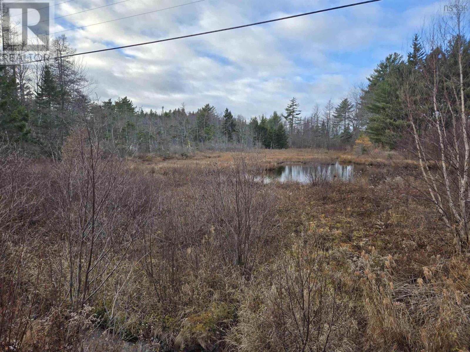 Lot P-2 Mount Pleasant Road - Photo 4
