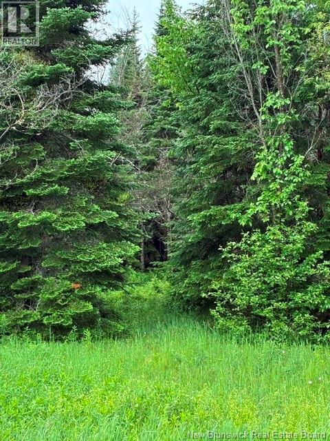 Lot Route 104 - Photo 4