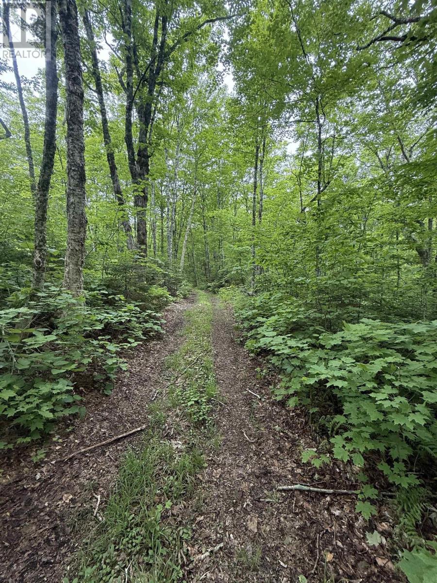 Lot (PID 20098885) Truro Road - Photo 2