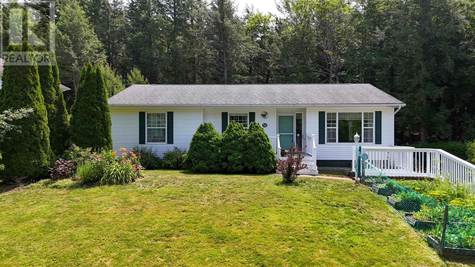 50 Macdonald Park Road - Photo 2