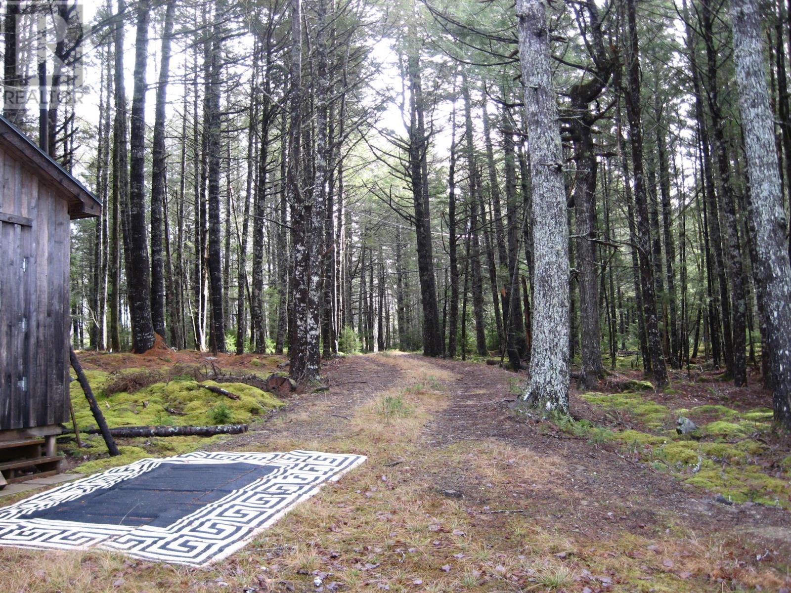77 Bear Cove Road - Photo 3