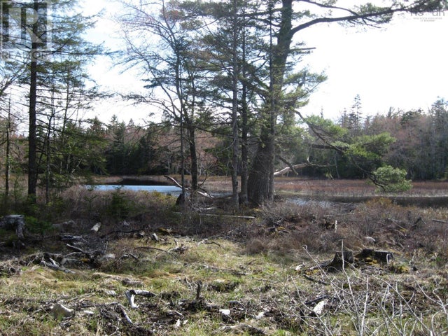 77 Bear Cove Road