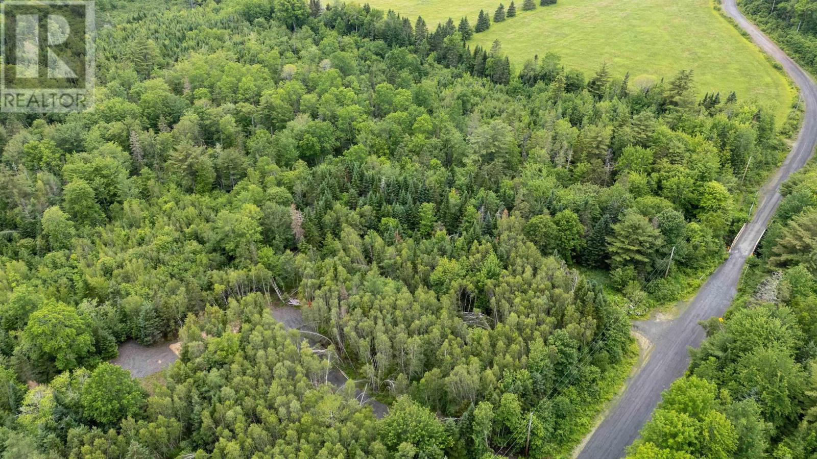 Lot 23-3 Chesley Road - Photo 2