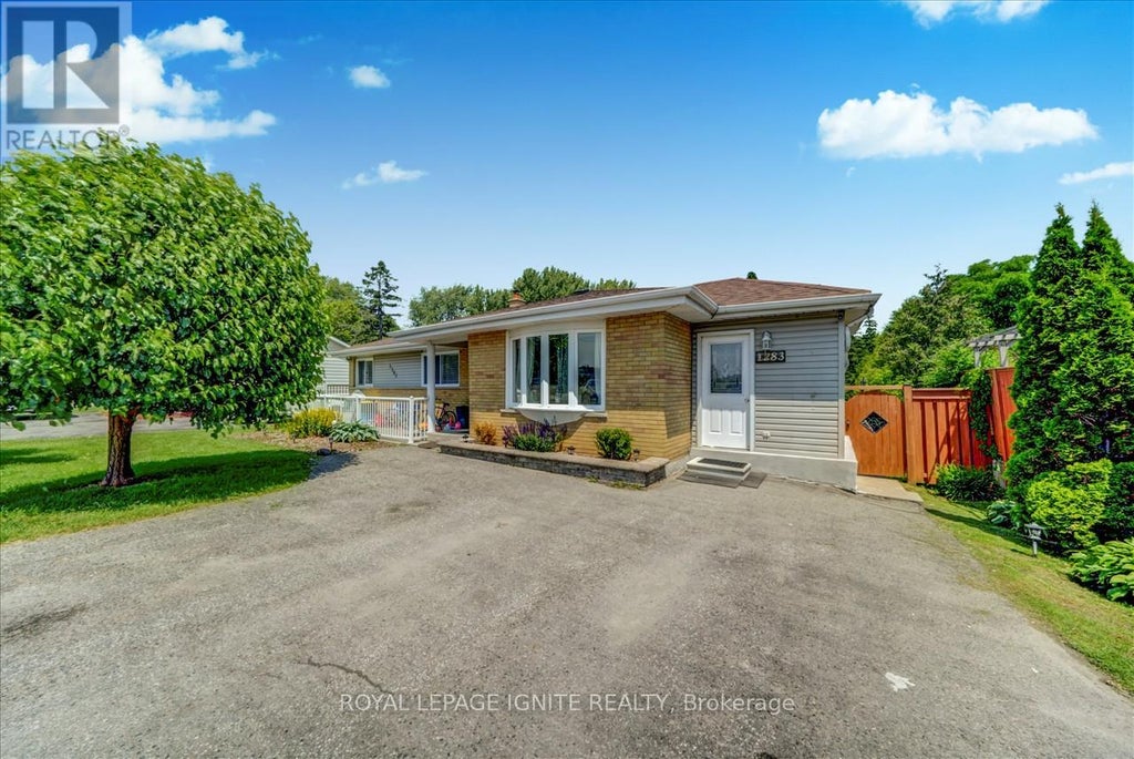 BSMNT - 1283 TOWNLINE ROAD N, CLARINGTON, ON L1K 3E1 - Image 3727492094.jpeg?d=l
