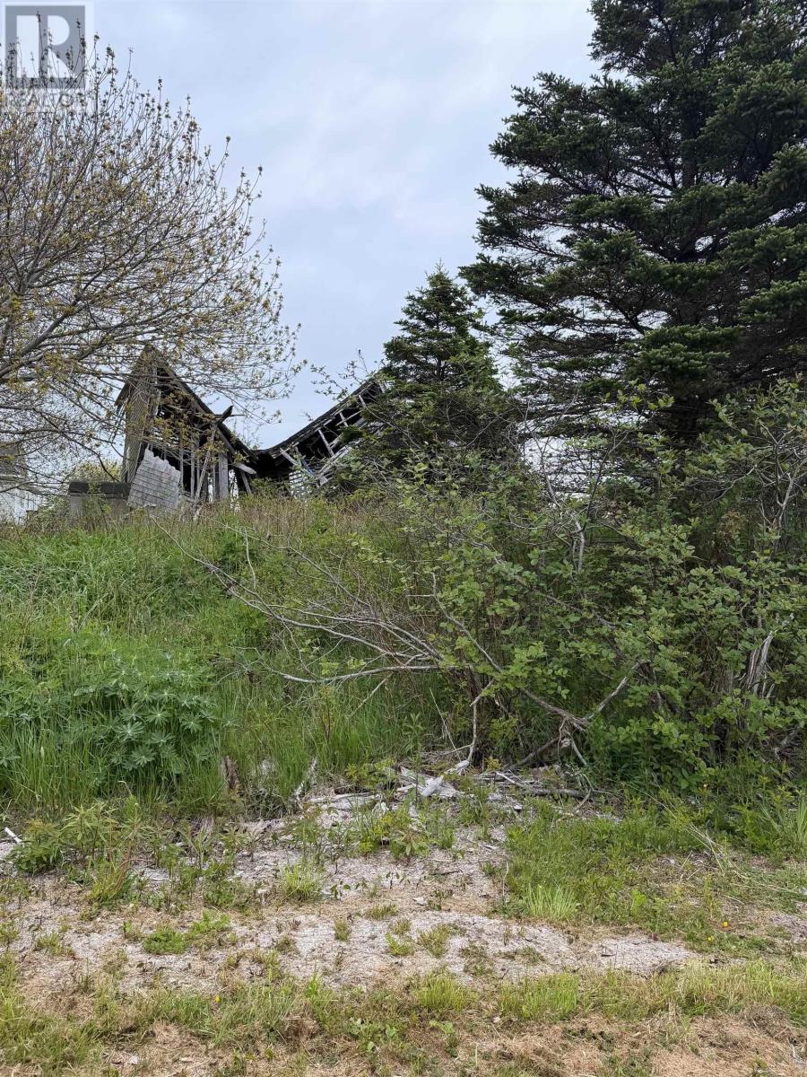 3661 Highway 217 - Photo 2