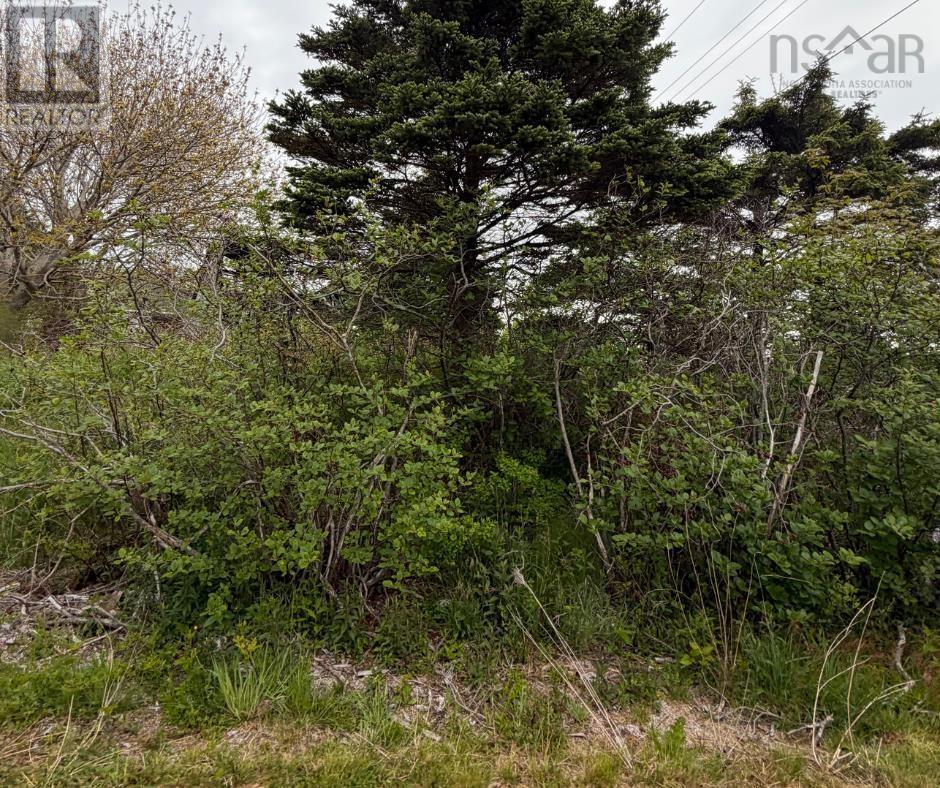 3661 Highway 217 - Photo 4