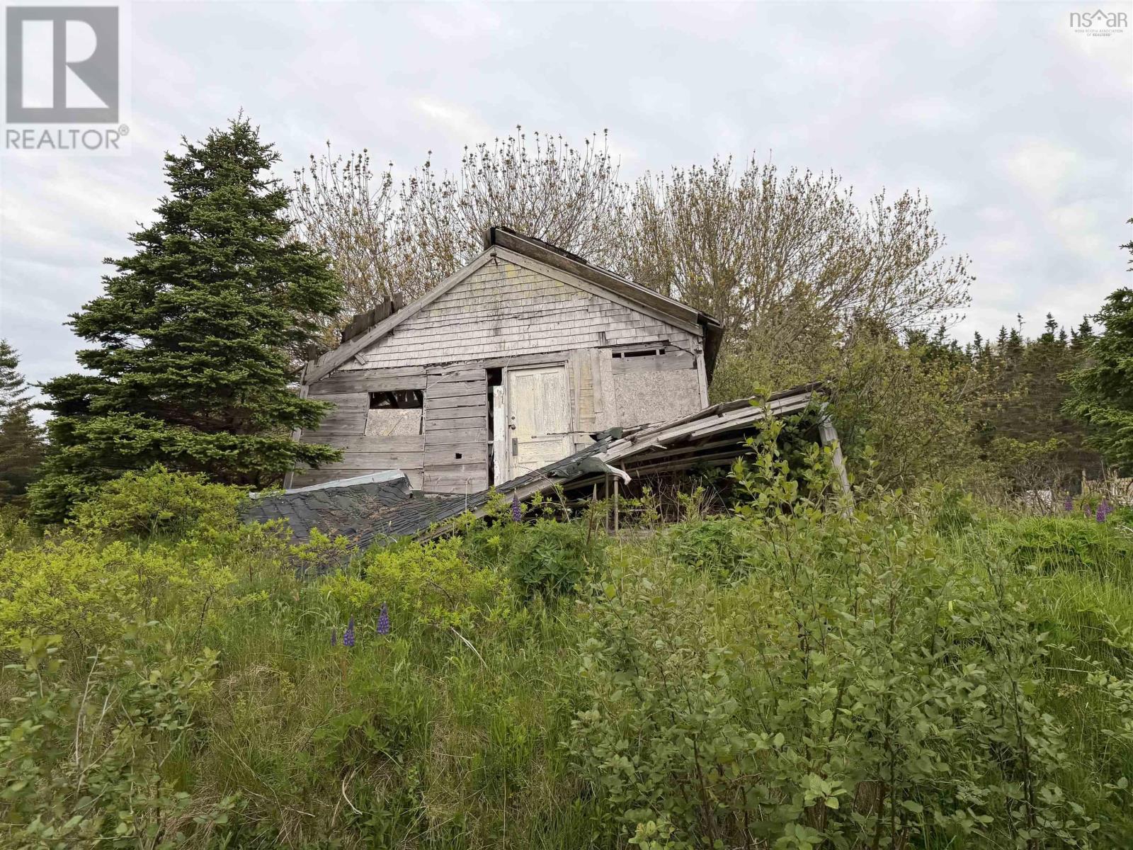 3661 Highway 217 - Photo 3