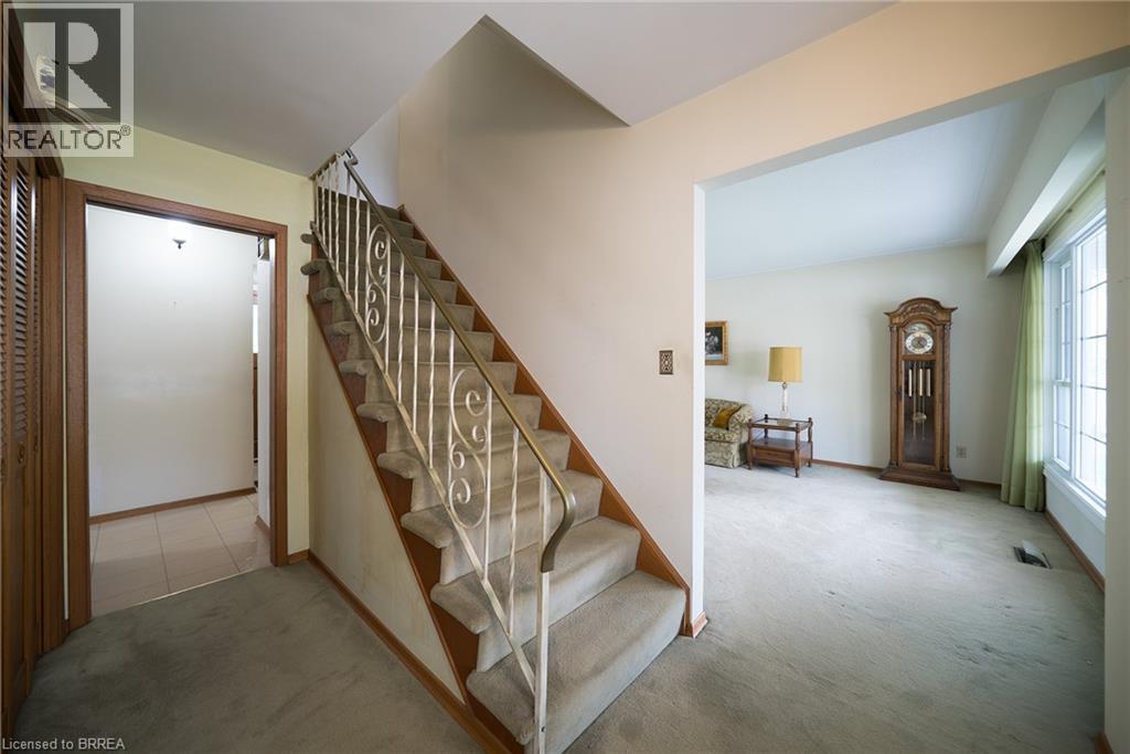 24 JAPONICA Crescent