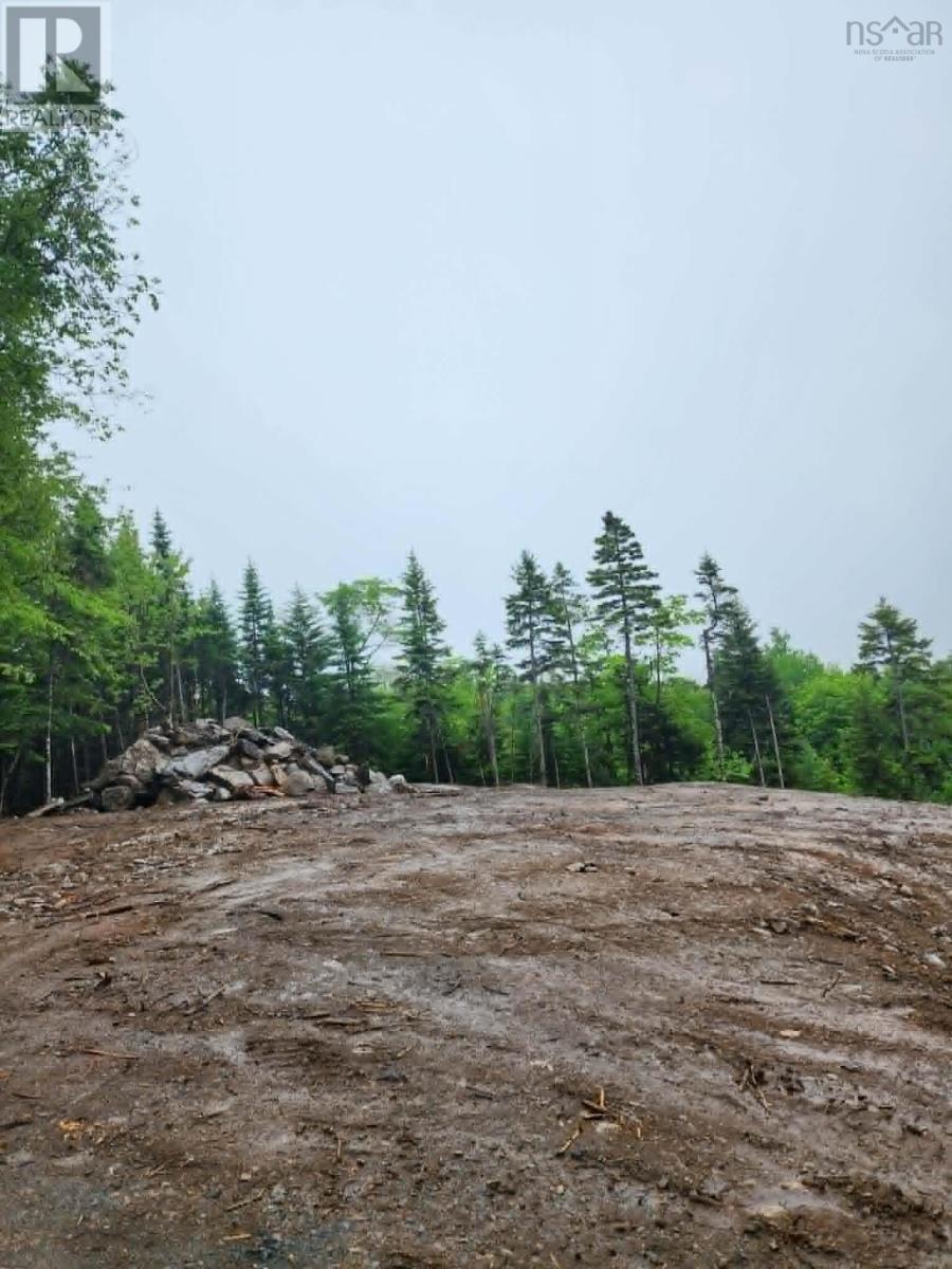206 Doherty Drive - Photo 4