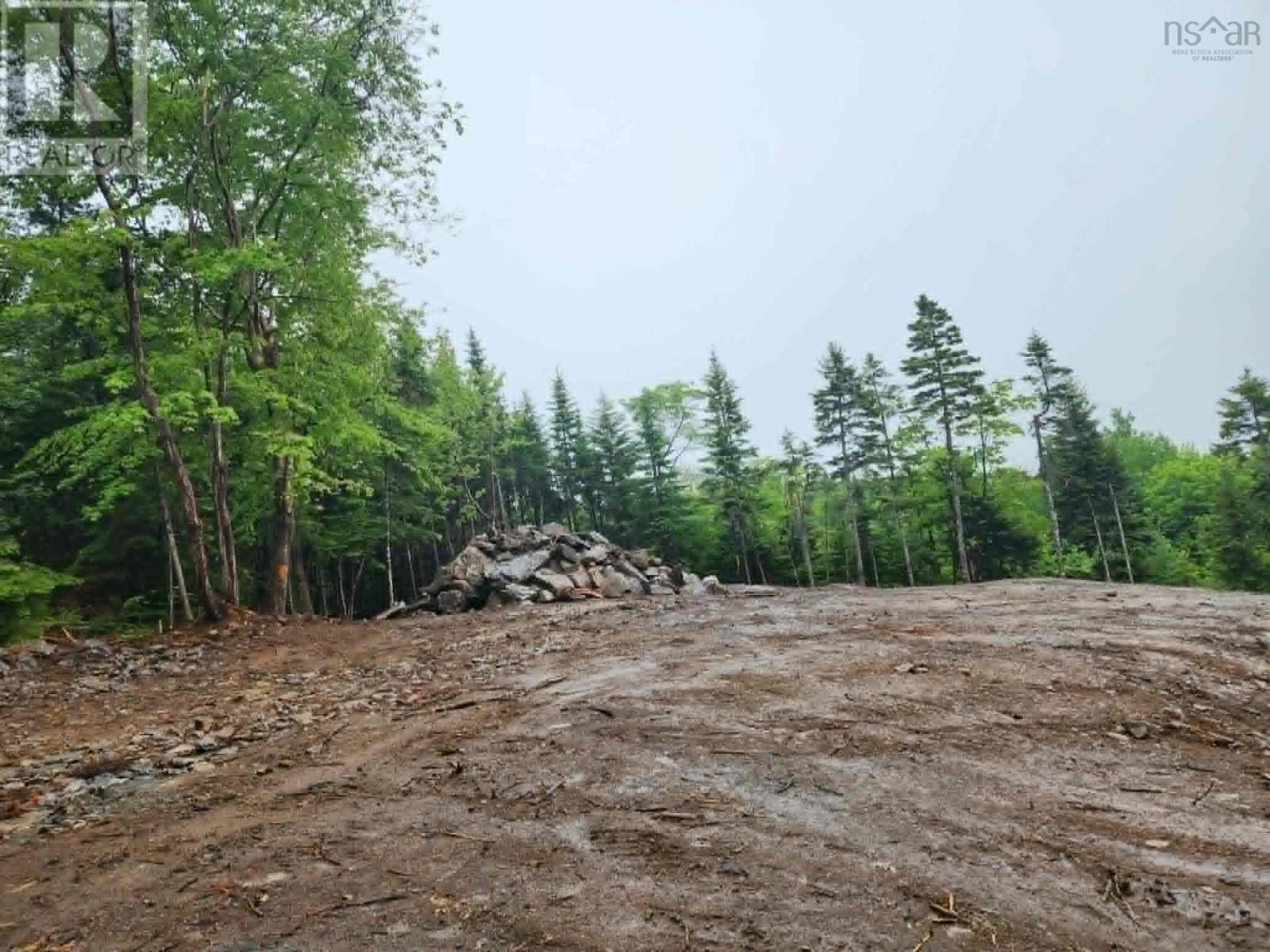206 Doherty Drive - Photo 3