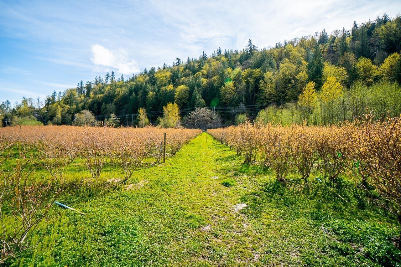 4214 WILSON ROAD, Yarrow