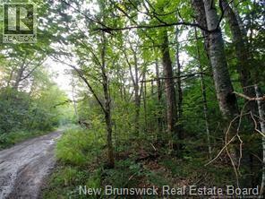 Lot 2004-1 Charters Settlement Road - Photo 3