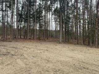 0 COUNTY RD 42 - Photo 4