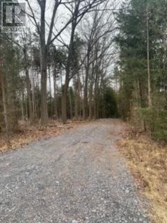 0 COUNTY RD 42 - Photo 2