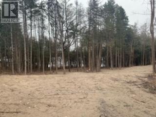 0 COUNTY RD 42 - Photo 3