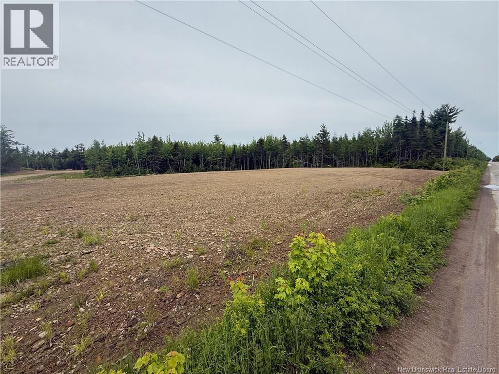 Lot 561 Ward Road - Photo 3