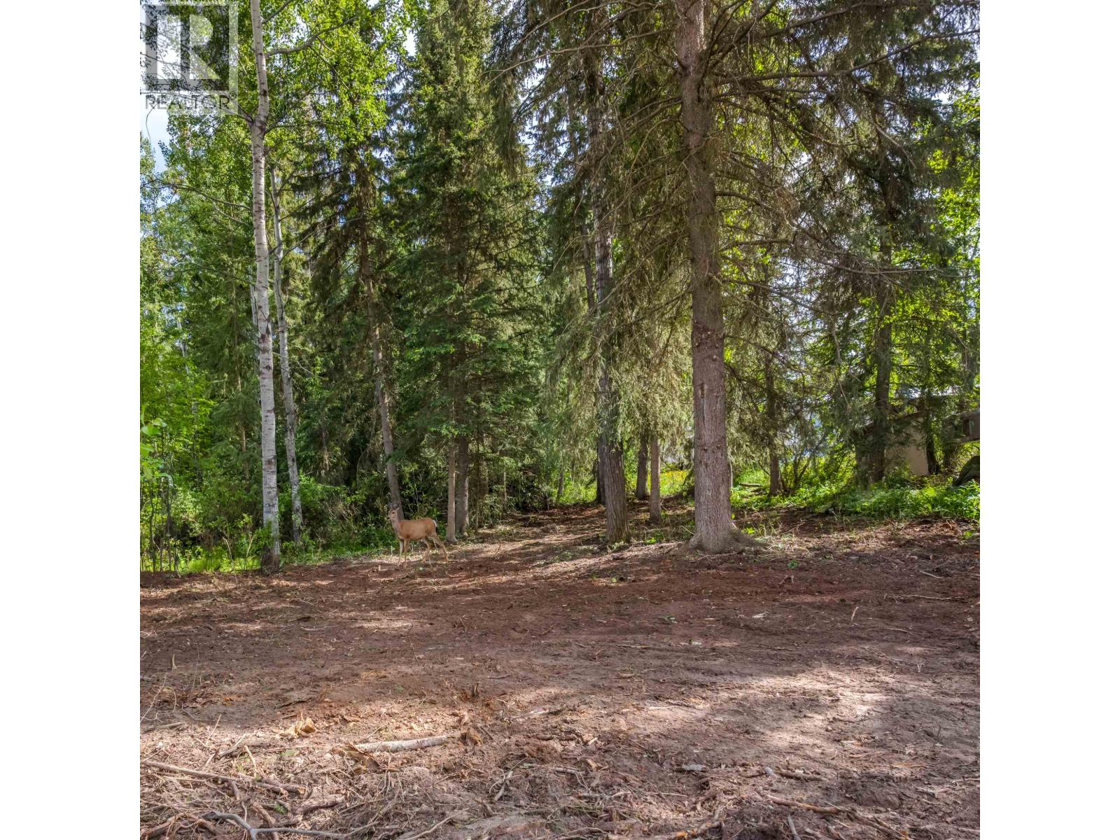 LOT 81 MULLIGAN DRIVE