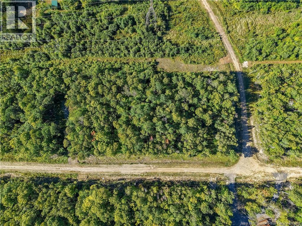 Lot Raven Ridge Road - Photo 3