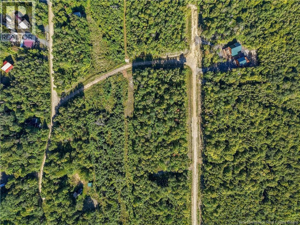 Lot Raven Ridge Road - Photo 4