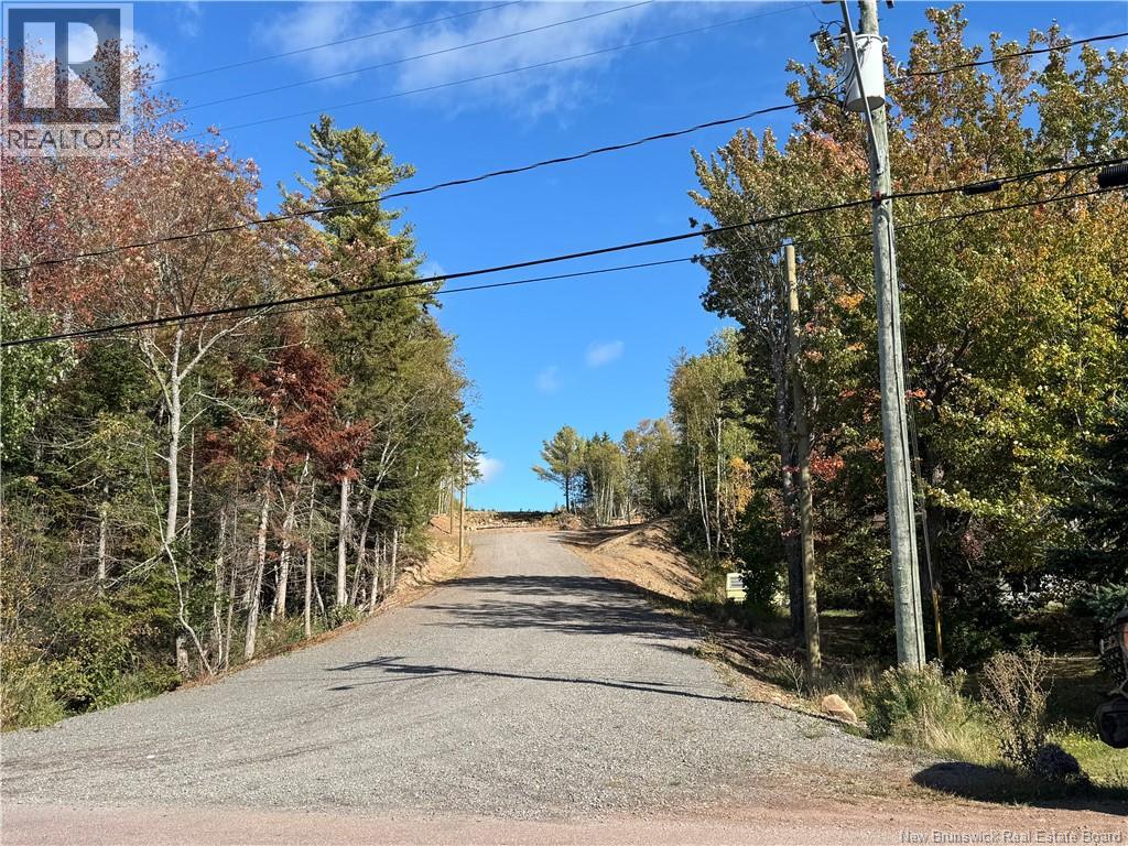 Lot rue Principale - Photo 2